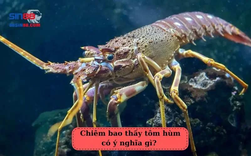 Mơ thấy tôm là điềm báo tốt hay xấu? Những con số may mắn liên quan 2 Chiêm bao thấy tôm hùm có ý nghĩa gì?
